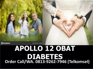 apollo 12 obat diabetes