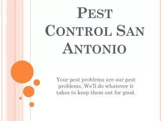 Pest Control San Antonio- Satxpest.com