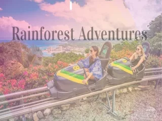 Excursions and tours in the Caribbean | Rainforest Adventures