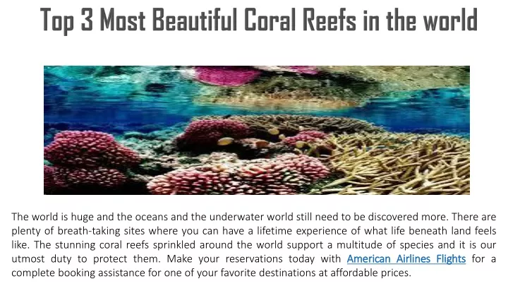 top 3 most beautiful coral reefs in the world