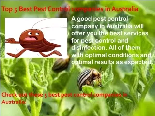 Top 5 Best Pest Control companies in Australia