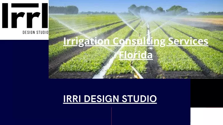 irrigation consulting services florida