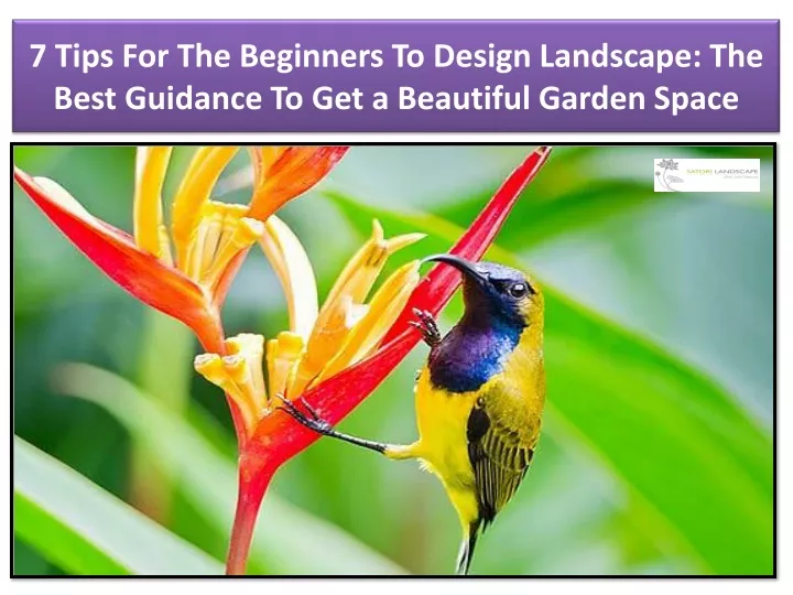 7 tips for the beginners to design landscape the best guidance to get a beautiful garden space