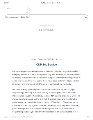 2020 9 1 clip seq service