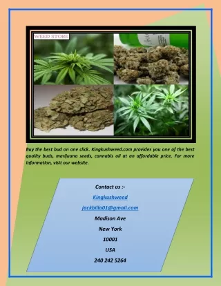 Bud for sale | Kingkushweed.com