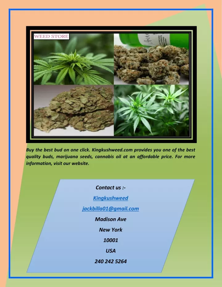 buy the best bud on one click kingkushweed