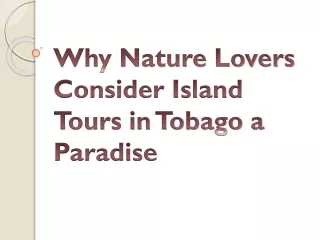 Why Nature Lovers Consider Island Tours in Tobago a Paradise