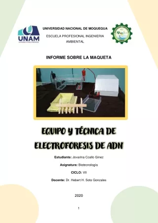 Informe sobre el equipo y técnica de electroforesis