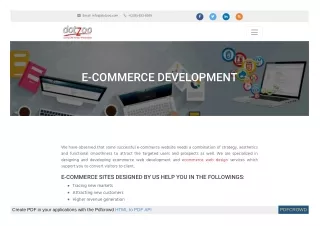 ecommerce website development company in usa