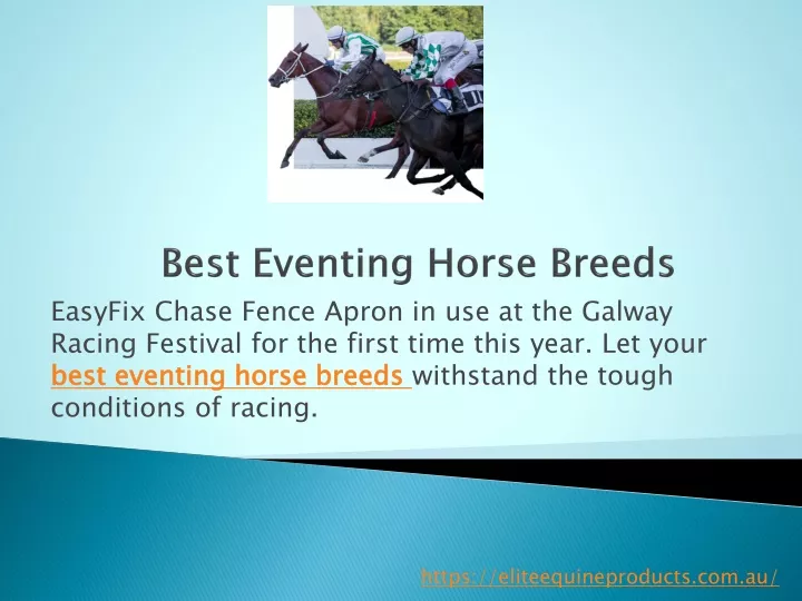 best eventing horse breeds