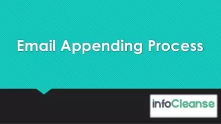 InfoCleanse - Email Appending Process