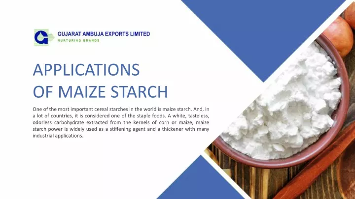 applications of maize starch