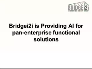 Bridgei2i is Providing AI for pan-enterprise functional solutions