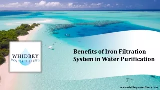 Benefits of Iron Filtration System in Water Purification