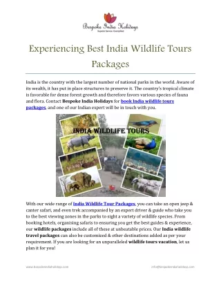 Experiencing Best India Wildlife Tours Packages