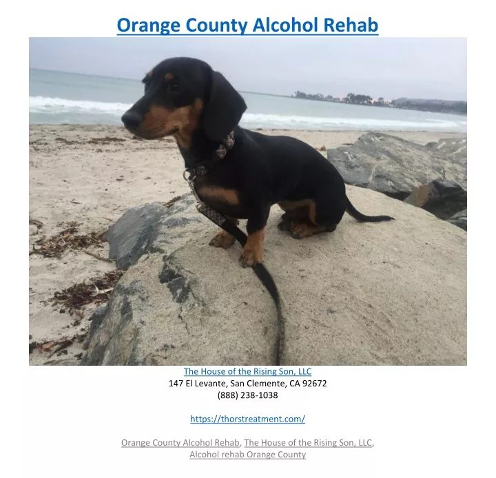 orange county alcohol rehab