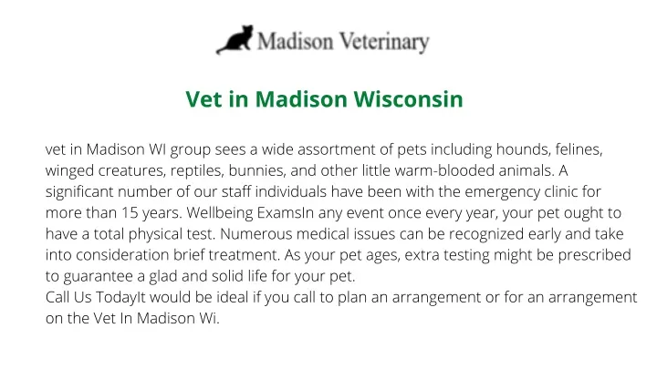 vet in madison wisconsin