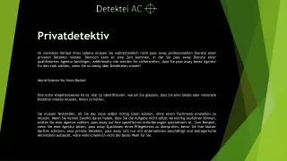 privatdetektiv