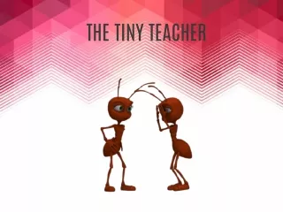 THE TINY TEACHER