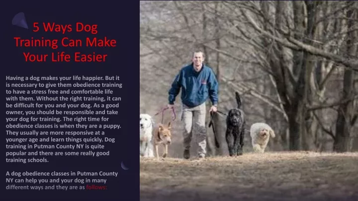 5 ways dog training can make your life easier