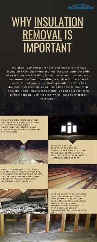 Info Graph about Insulation Removal