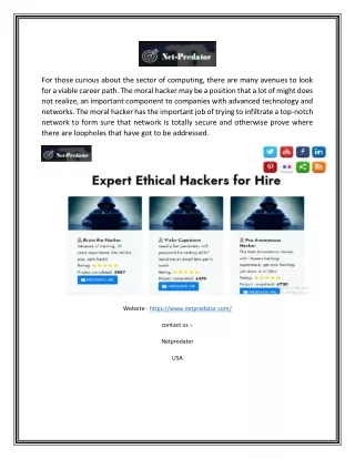 Hire a Website Hacker Online | Netpredator.com