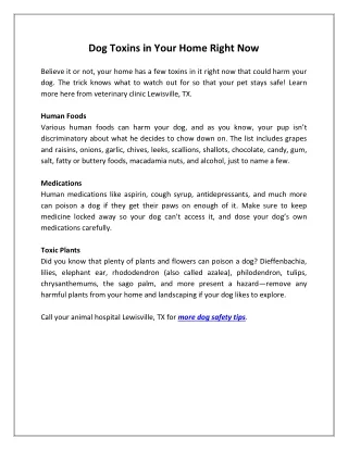 dog toxins in your home right now