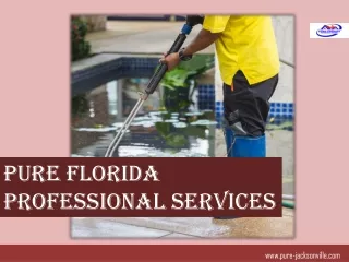 Pure Florida Professional Services, USA