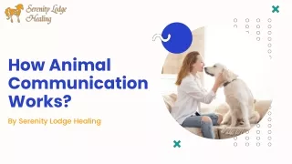 How Animal Communication Works?