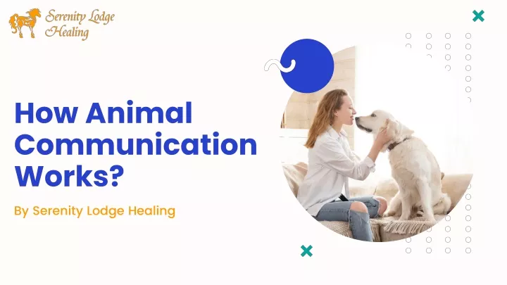 how animal communication works