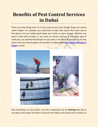 Benefits of Pest Control Services in Dubai