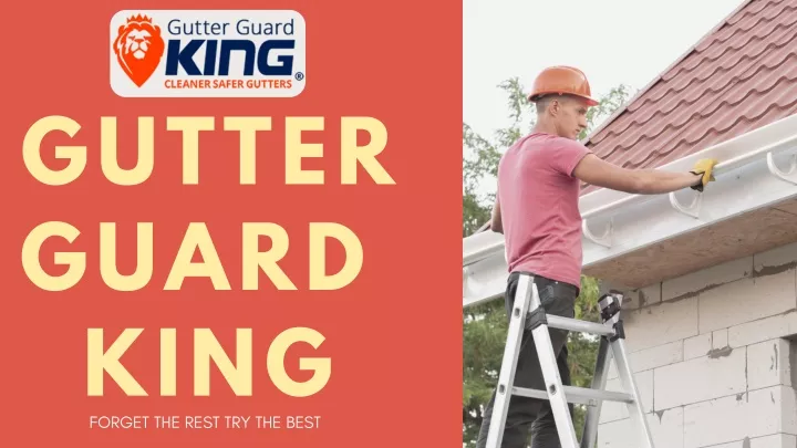 gutter guard king forget the rest try the best