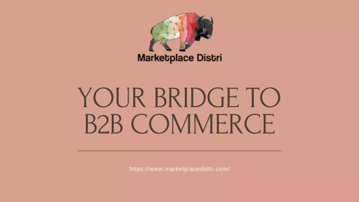 your bridge to b2b commerce