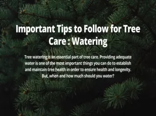 Important Tips to Follow for Tree Care : Watering