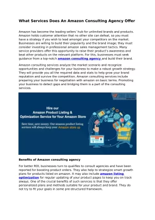 what services does an amazon consulting agency