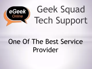 geek squad tech support