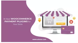 30 Best WooCommerce Payment Plugins for Your Store