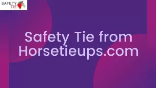 Safe T Tie Horse Tie