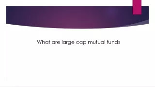 what are large cap mutual funds