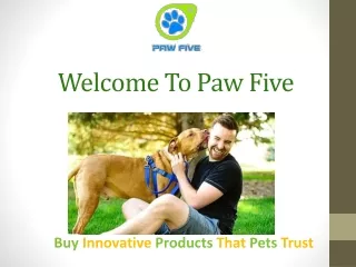 Best Dog Harness | No Pull Dog Harness | Paw Five CORE-1