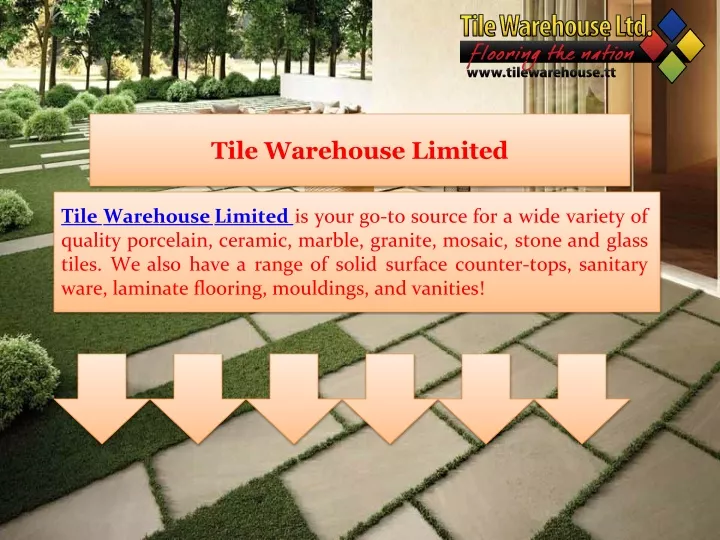 tile warehouse limited