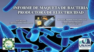 Bacteria productora de electricidad
