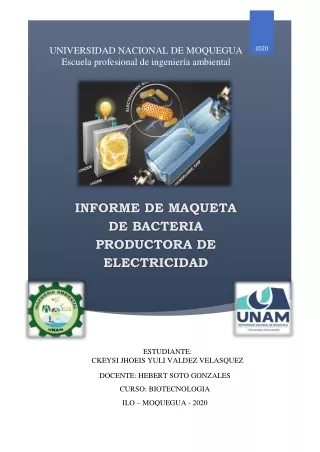 informe de Bacteria productora de electricidad