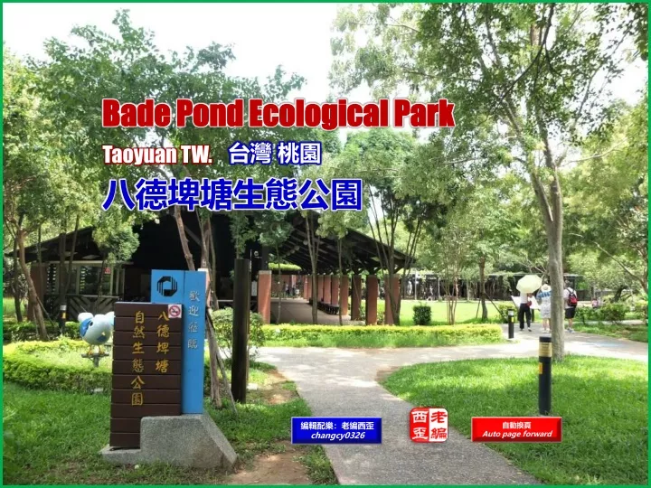 bade pond ecological park taoyuan tw