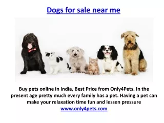 Buy pets online