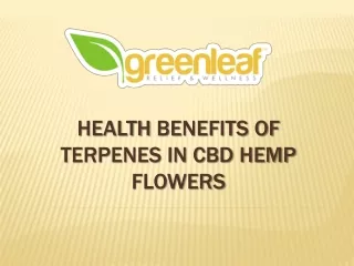 Health Benefits of Terpenes in CBD Hemp Flowers