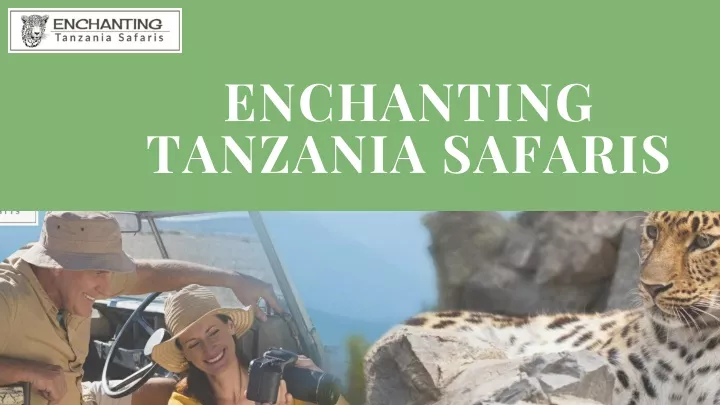 enchanting tanzania safaris