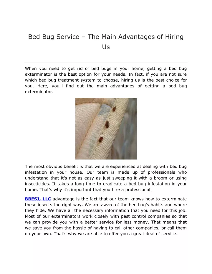 bed bug service the main advantages of hiring us