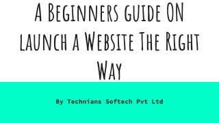 A Beginners guide ON launch a Website The Right Way