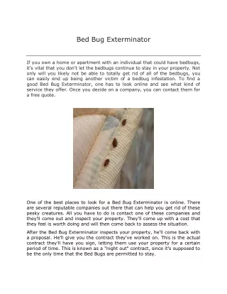 bed bug exterminator